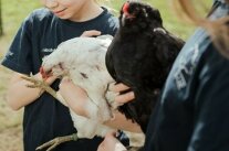 Kinder halten Hühner in ihren Armen