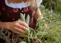 Eine Frau im Dirndl bindet einen Kräuterstrauß.