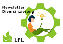 Anmeldung zum Newsletter bildlich mit einer gezeichneten Frau die am Laptop schreibt