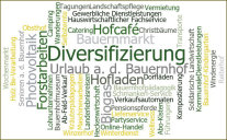 Eine Wordcloud zum Themenfeld Diversifizierung