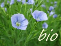 Blau blühende Blumen, darunter der Schriftzug "bio".