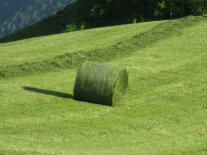 Heurundballen auf einer Bergwiese