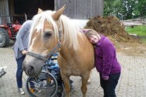 Ein Pferd auf dem Hof wird von behinderten Menschen gestreichelt.