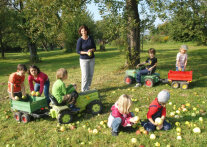 Sieben Kinder sammeln unter Obstbäumen mit einer Betreuerin Äpfel auf. 