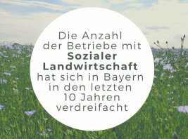 Betriebe mit sozialer Landwirtschaft haben sich in Bay. in d. letzten 10 Jahren verdreifacht