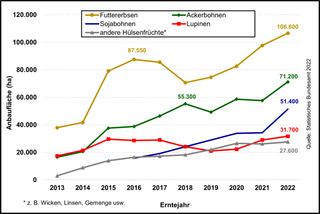 Abbildung 1 zeigt die Anbauflächenentwicklung von Körnerleguminosen in Deutschland von 2013 bis 2022. Die Futtererbsen haben sich in diesem Zeitraum von unter 40.000 Hektar auf über 106.000 Hektar entwickelt und stellen die größte Fläche unter den Körnerleguminosen. An zweiter Stelle stehen Ackerbohnen mit aktuell 71.000 Hektar. Auf Platz 3 kommen 2022 mit über 51.000 Hektar die Sojabohnen. Sie lagen 2016 noch unter 20.000 Hektar. Lupinen waren 2022 mit knapp 32.000 Hektar vertreten.