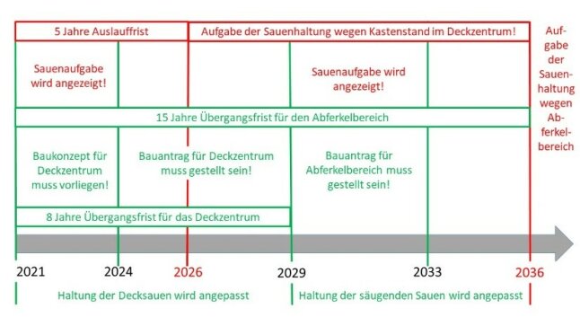 Abbildung 1: Schema des Ablaufs von 2021 bis 2036. Wer nicht mehr in die Sauenhaltung investieren will, muss Ende 2026 aussteigen