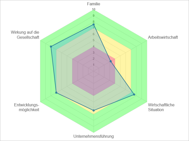 Die in jeder Kategorie erreichte Punktzahl ist in einem Spinnennetzdiagramm dargestellt.