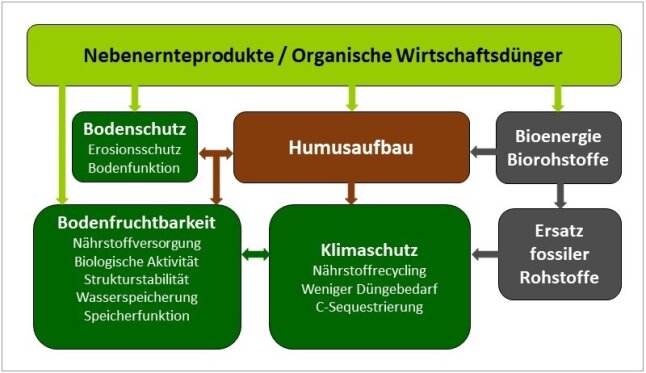 Organigramm: Funktionen und Zusammenhänge bei Nebenernteprodukten und organischem Wirtschaftsdünger: Nebenernteprodukte und organischer Wirtschaftsdünger werden für Bodenfruchtbarkeit, Bodenschutz, Humusaufbau und in geringerem Umfang zur Erzeugung von Bioenergie und Biorohstoffen verwendet. Der Humusaufbau steht mit Klimaschutz und Bodenfruchtbarkeit in enger Verbindung.