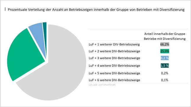 Tortendiagramm: 66,2 % mit 1, 25,9 % mit 2, 6,2 % mit 3, 1,5 % mit 4 und 0,2 % mit 5 weiteren Betriebszweigen.