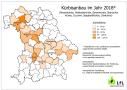 Besondere Anbauschwerpunkte für Kürbisse bilden die Landkreise Schweinfurt, Würzburg, Roth und Aichach-Friedberg.
