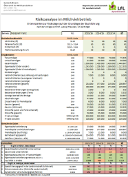 Screenshot Excel-Berechnung Risikoanalyse nach Theuvsen