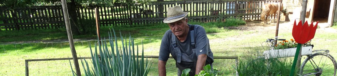 Älterer Herr in Latzhose und Hut steht vor einem bepflanzten Hochbeet in einem Garten