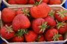 Reife, tiefrote Erdbeeren abgepackt in Kartonschälchen