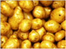 Themenbild kartoffeln