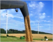 Getreide schießt aus einem Mähdrescherrohr. Im Hintergrund zwei Windräder.