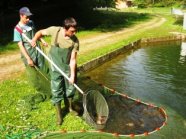 Zwei Männer mit Kescher an einem Fischteich