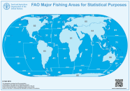 Fisch: Fanggebiete FAO