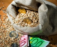 Getreidesack mit Münzen und Euroscheinen