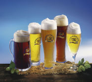 Bayerisches Bier