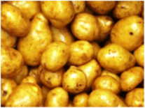 Kartoffeln
