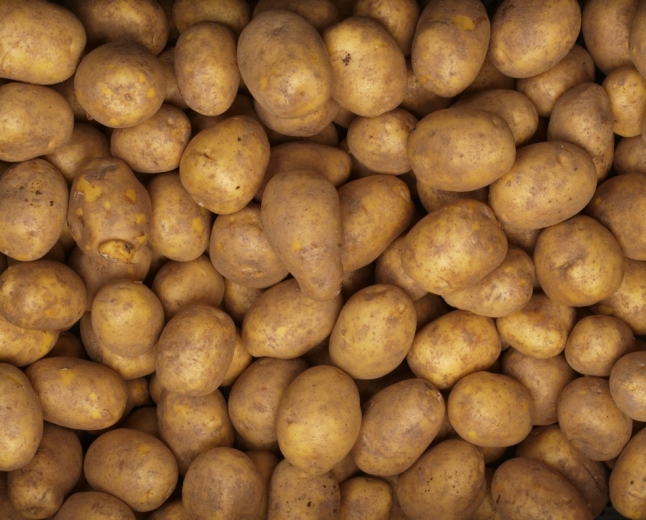 Kartoffel: Natur, Mindestniveau +, trocken