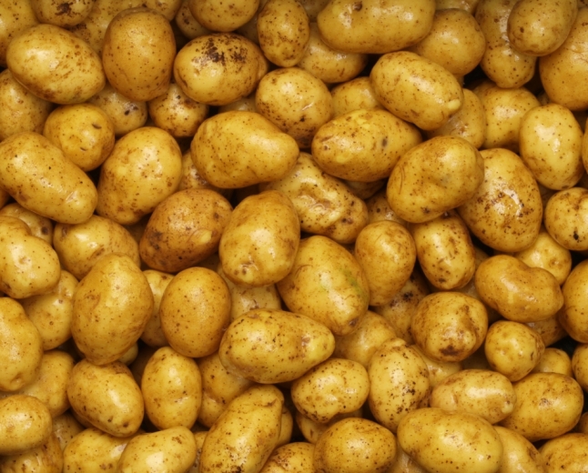 Kartoffel: Klassisch, Mindestniveau +, nass