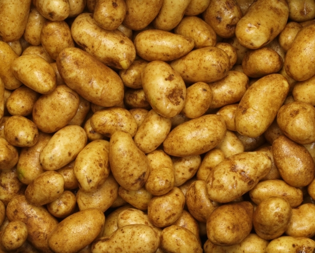 Kartoffel: Standard, Mindestniveau +, nass