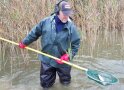 Mit dem Kescher wird ein Fisch aus dem Wasser geholt.