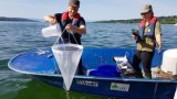 Ein Mann und eine Frau stehen in einem blauen Boot zur Beprobung vonZooplankton.