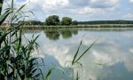 In einem Karpfenteich spiegeln sich die Wolken