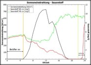 Kurvendiagramm: Verlauf der Sonneneinstrahlung - Sauerstoff