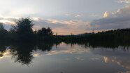 Abendstimmung an Teich mit Spiegelung im Wasser