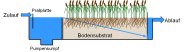 Grafik Bodensystempflanzenkläranlage