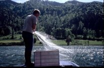 Person in einem Boot beim Setzen eines Bodennetzes