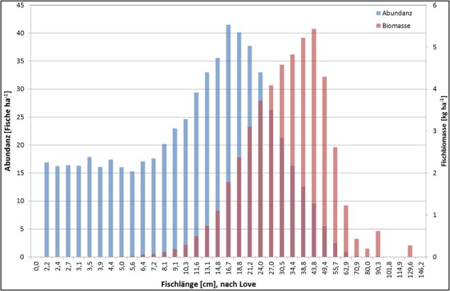 Tabelle-biomassesta