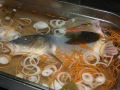 Gedünsteter Fisch auf einem Teller angerichtet