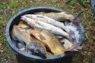 Fischfang auf Eis