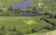 Teiche mit Fließgewässer