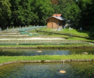 Blick auf mehrere Teiche