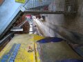 Fütterungsroboter in Warteposition vor dem Weg zum Futtertisch
