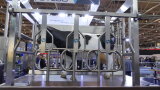Stehende Tieratrappe auf der EuroTier im automatischen Melksystem