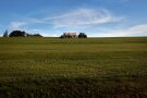 Ein Güllewagen fährt auf einem Feld.