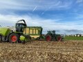 Feldhäcksler mit Pick-up auf Feld