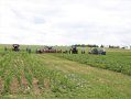 Menschen stehen auf einem Feld