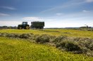 Im Vordergrund ist frisch gemähtes Gras zu sehen, dahinter ein leerer Überladewagen