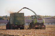 Feldhäcksler mit Pickup beim Ernten von Maisstroh in einen Ladewagen