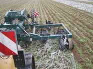 Strip Till mit Streifenlockerer in Zwischenfrucht bei Frost