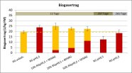 Säulendiagramm