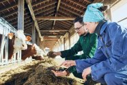 Zwei Personen bei der Beurteilung von Grundfutter am Futtertisch